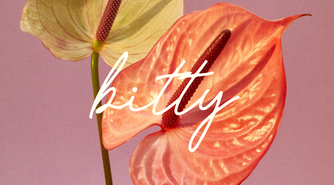 Bitty E-Gift Card